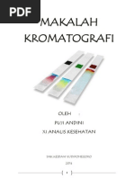 Download MAKALAH KROMATOGRAFI by puji andini SN242774257 doc pdf