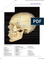 Color Atlas of Anatomy - Page 025 - Bones of The Skull PDF