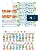 ADN de Papel PDF