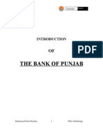 Internship Report of Bank Punjab