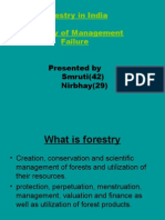Forestry-Management Failure