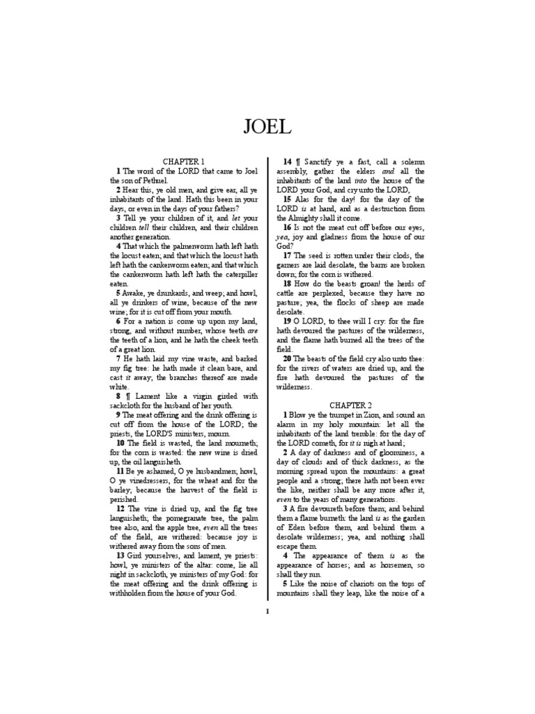 Joel's Book | PDF