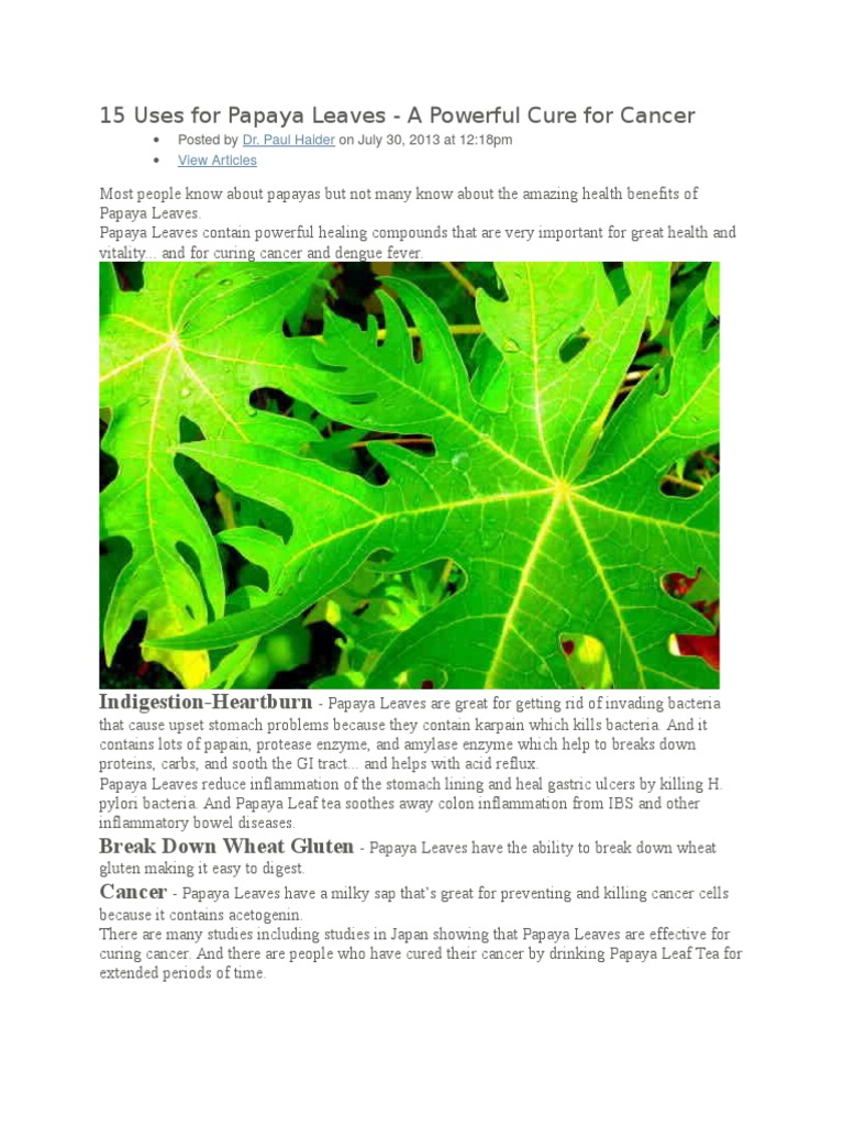 Papaya Leaves TEA Glycerol Cancer