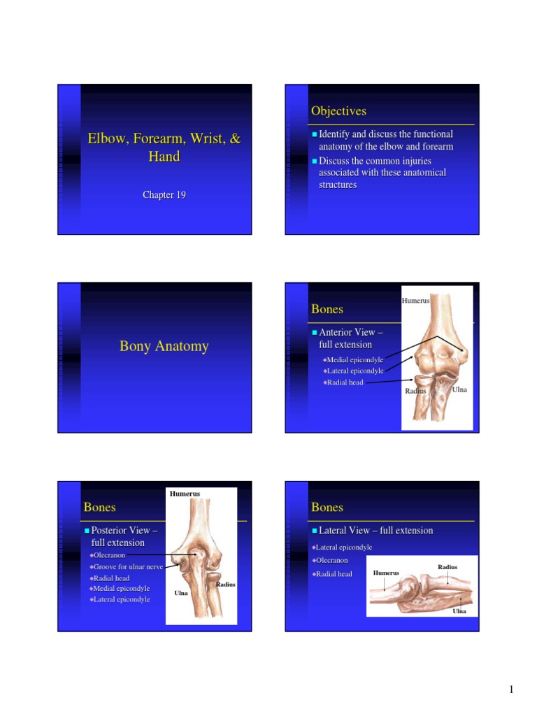 Elbow, Forearm, Wrist, Hand PDF Elbow Finger