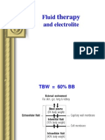 Fluid Therapy and Electrolite