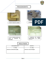 Farmacologia Informe 1