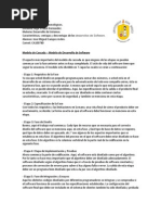 Características, Ventajas y Desventajas Del Desarrollo de Software