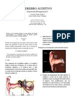 CortezaCerebral_auditivo_ieee.pdf