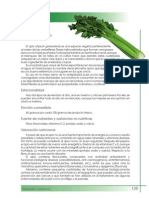 Apio PDF