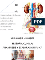 Semiologia Urologica Tema 4