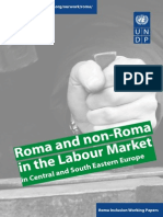 Roma and Non Roma in The Labour Market