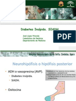 Diabetes_insipida_SIADH.pdf