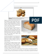 agua en el proceso del pan.pdf