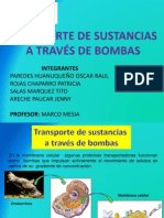 PRODUCTO TRANSPORTE POR BOMBAS.pptx
