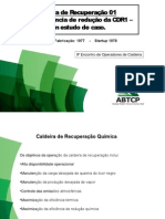 Caldeira Klabin PDF