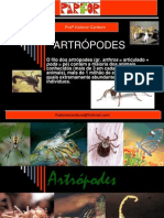 Artropodes160820 - Maior