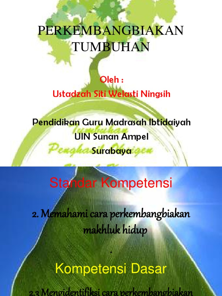 PERKEMBANGBIAKAN TUMBUHAN ppt PERKEMBANGBIAKAN TUMBUHAN ppt
