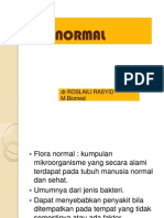 Flora Normal Blok 2 2