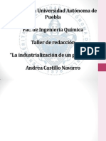 presentacion_laindustrializaciondeungraduado_AndreaCastillo.pptx