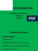 Metabolismo_energetico_I(MASTER).ppt