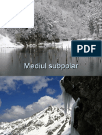 Mediul subpolar