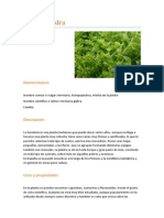 Rompepiedra PDF