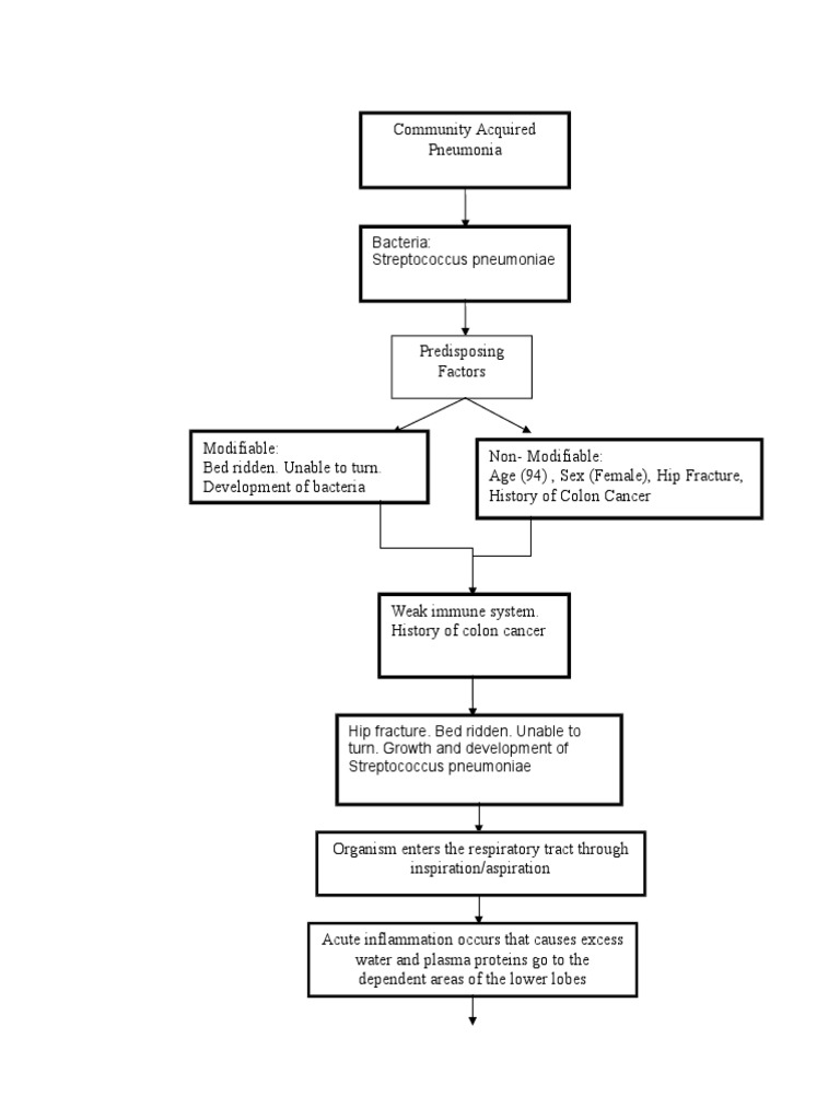 pathophysiology of community-acquired pneumonia diagram