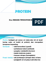 Protein