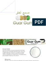 Guar Gum Brouchure 2 PDF
