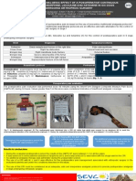 poster sevc 2014 final pdf.pdf