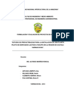 PROYECTO DE FORMULACION TU MARIDO ANTUASH.docx