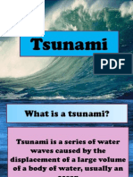 Tsunami