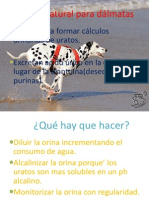 Dieta Natural para Dálmatas PDF