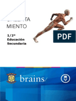 El Calentamiento PDF