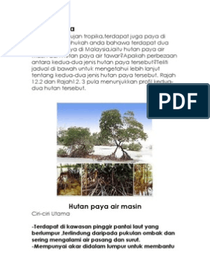 Jenis akar pokok bakau