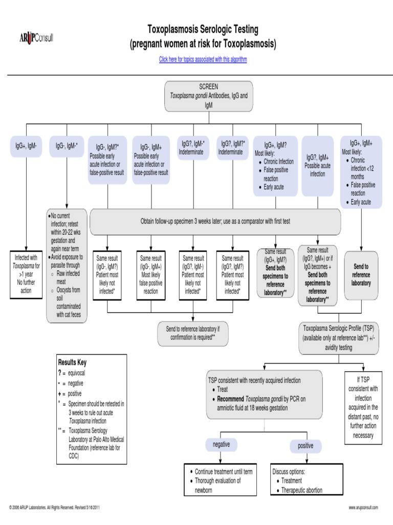 Testing for Toxoplasmosis in Pregnant Women A Guide to Interpreting