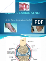 Analisis Cairan Sendi