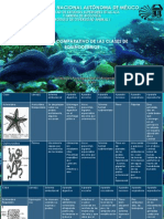 equinodermos.ppt