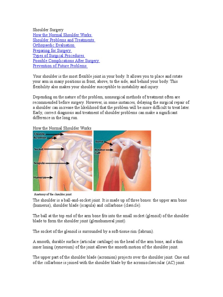 Anatomy of The Shoulder Joint | PDF | Wellness | Technology & Engineering