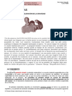 El Pendulo - Simple - Calculo Del Valor de (G) PDF