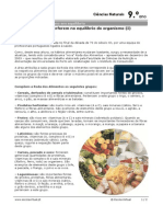 A Roda Dos Alimentos PDF