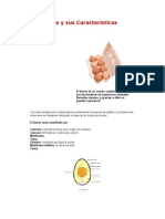El Huevo y sus Características.doc