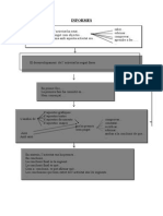 Informe