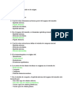 Preguntas histologia 2º