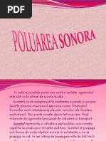 poluarea fonica 