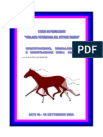 Identificazione e Segnalamento Cavalli PDF