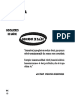 4-IndicadoresSaude.pdf