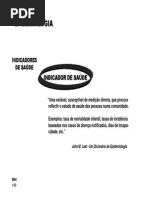 4-IndicadoresSaude.pdf