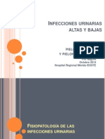 Infecciones Urinarias Altas y Bajas