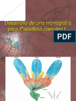 00 Presentación Seminario Plantas Medicinales ISP 2011 PDF